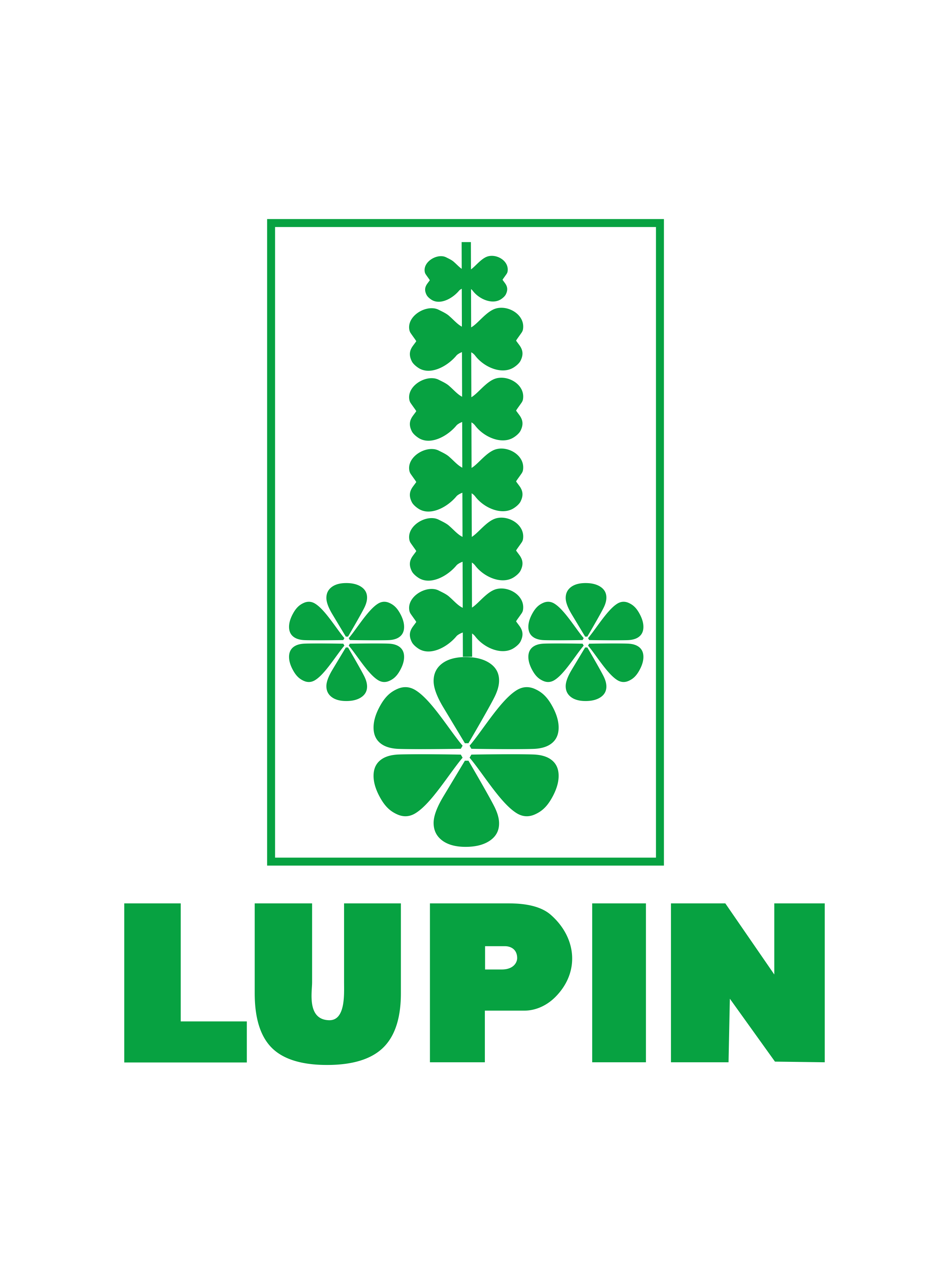 Lupin India Pvt. Ltd.